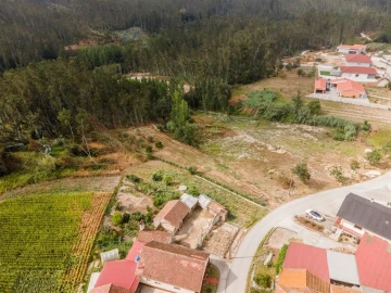 Terreno para Venda em Guia, Ilha e Mata Mourisca