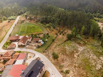 Terreno para Venda em Guia, Ilha e Mata Mourisca