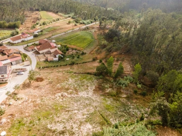 Terreno para Venda em Guia, Ilha e Mata Mourisca