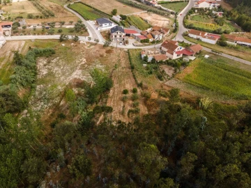 Terreno para Venda em Guia, Ilha e Mata Mourisca