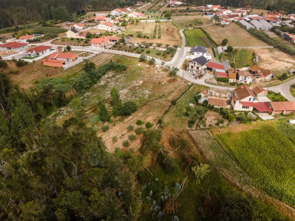 Terreno para Venda em Guia, Ilha e Mata Mourisca Foto 21