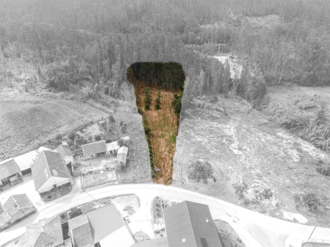 Terreno para Venda em Guia, Ilha e Mata Mourisca Foto 19