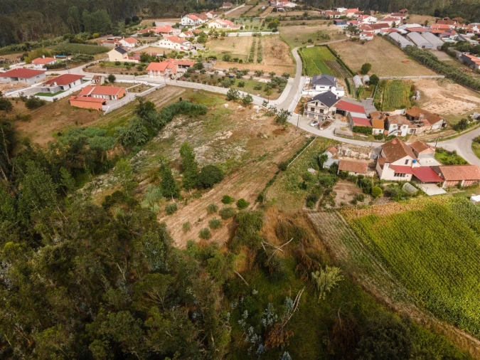 Terreno para Venda em Guia, Ilha e Mata Mourisca Foto 21