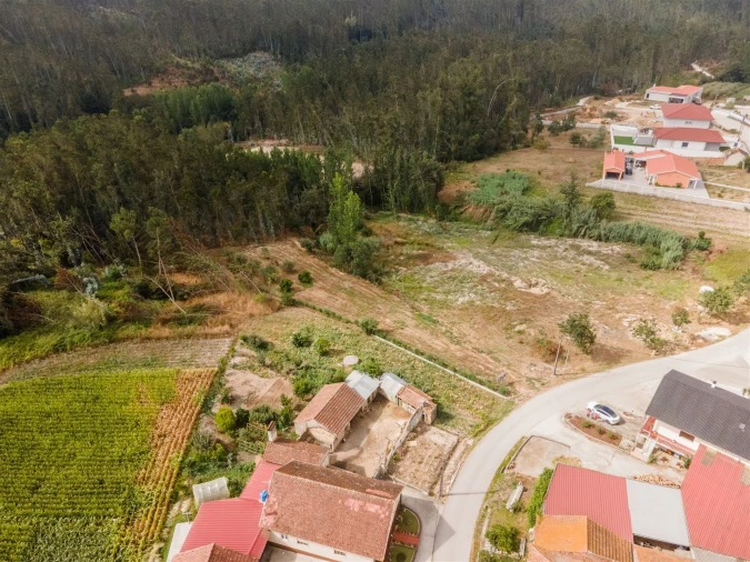 Terreno para Venda em Guia, Ilha e Mata Mourisca Foto 23