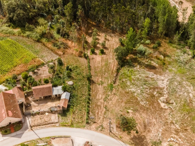 Terreno para Venda em Guia, Ilha e Mata Mourisca Foto 30