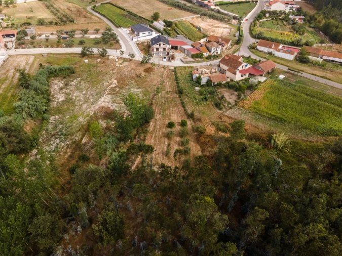 Terreno para Venda em Guia, Ilha e Mata Mourisca Foto 3