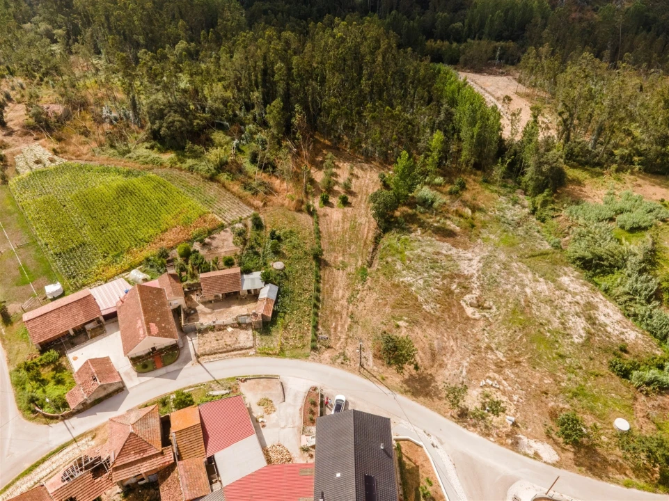 Terreno para Venda em Guia, Ilha e Mata Mourisca Foto 28