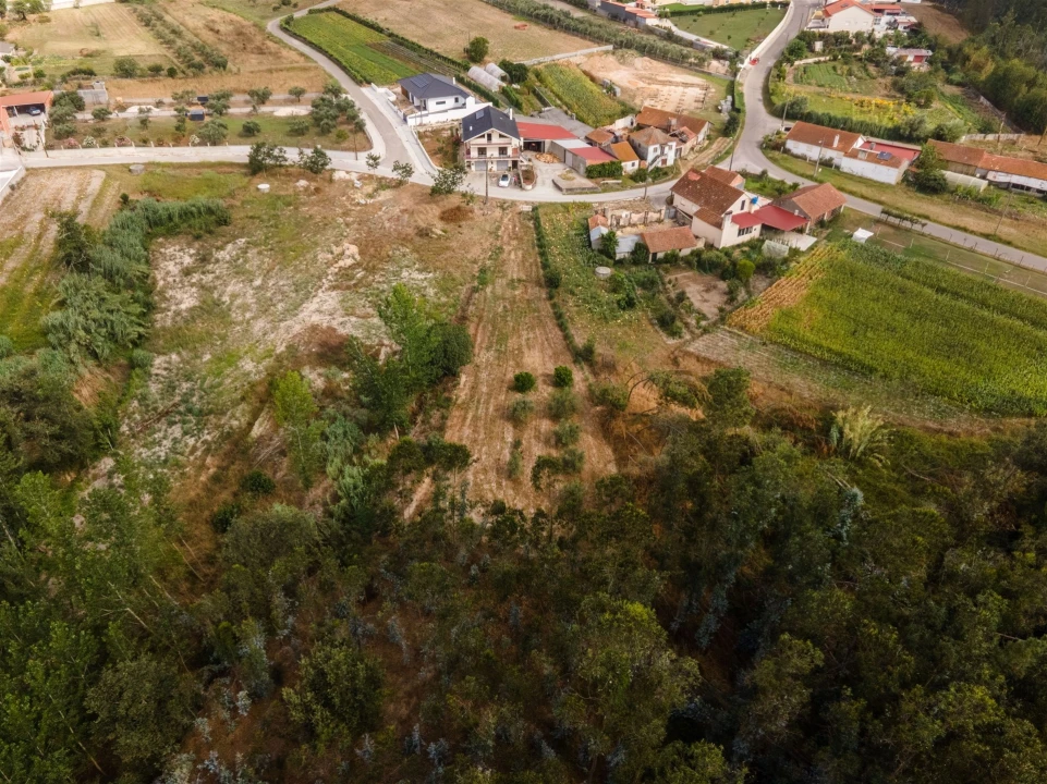 Terreno para Venda em Guia, Ilha e Mata Mourisca Foto 3