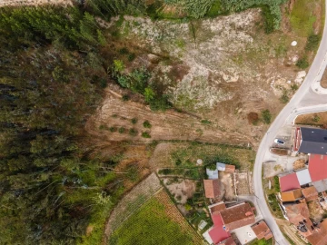 Terreno para Venda em Guia, Ilha e Mata Mourisca