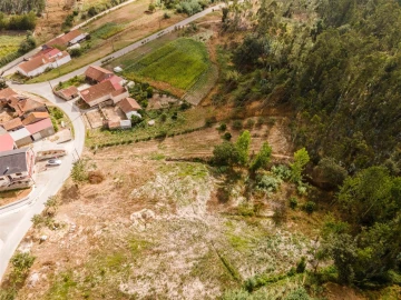 Terreno para Venda em Guia, Ilha e Mata Mourisca