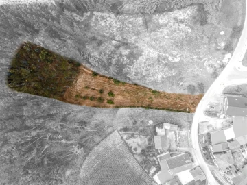 Terreno para Venda em Guia, Ilha e Mata Mourisca