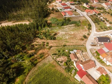 Terreno para Venda em Guia, Ilha e Mata Mourisca