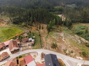 Terreno para Venda em Guia, Ilha e Mata Mourisca