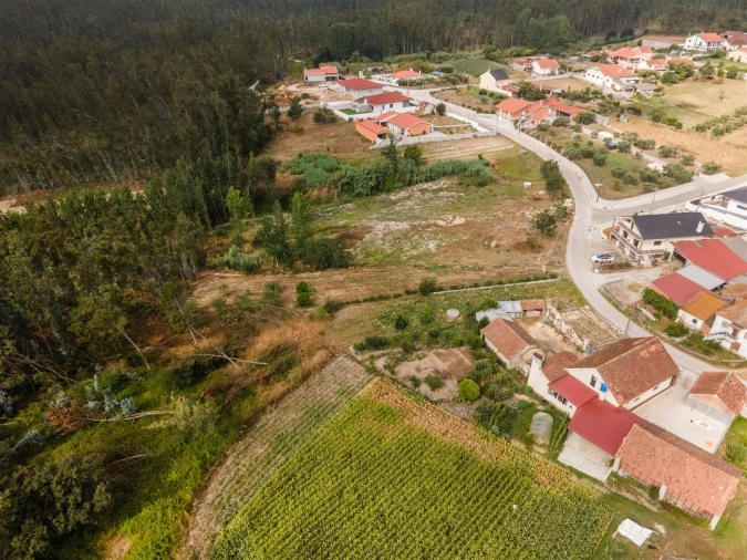 Terreno para Venda em Guia, Ilha e Mata Mourisca Foto 22