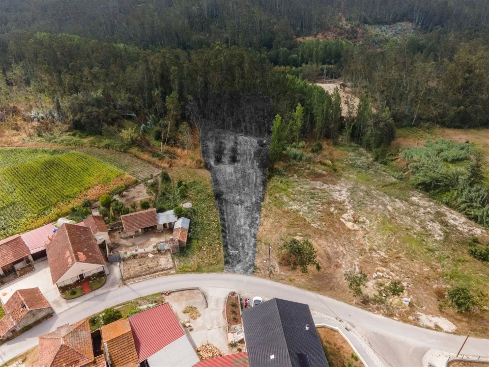 Terreno para Venda em Guia, Ilha e Mata Mourisca Foto 31
