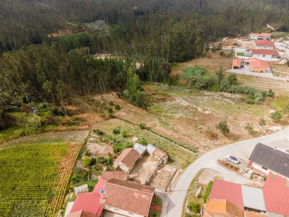 Terreno para Venda em Guia, Ilha e Mata Mourisca Foto 23