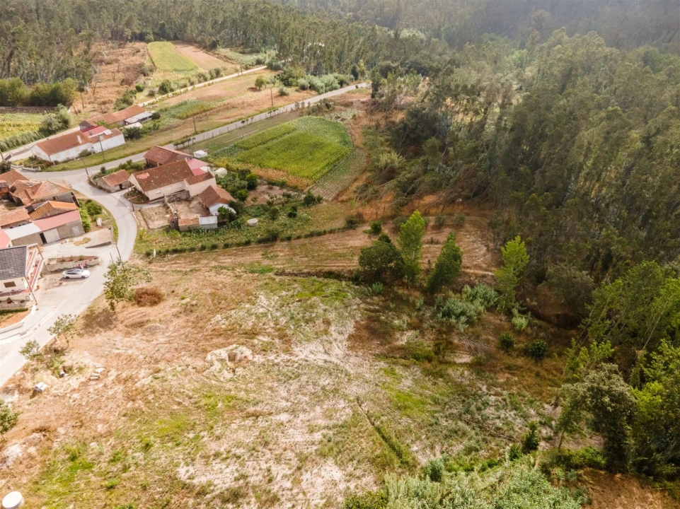 Terreno para Venda em Guia, Ilha e Mata Mourisca Foto 26