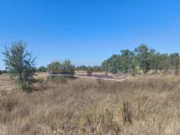 Terreno para Venda em Glória do Ribatejo e Granho