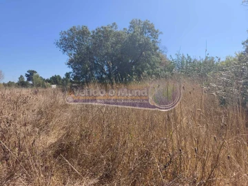 Terreno para Venda em Glória do Ribatejo e Granho