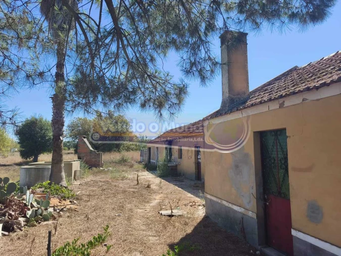 Terreno para Venda em Glória do Ribatejo e Granho Foto 10