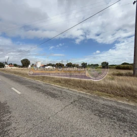 Terreno para Venda em Glória do Ribatejo e Granho