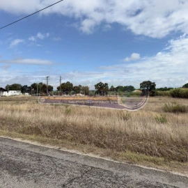 Terreno para Venda em Glória do Ribatejo e Granho