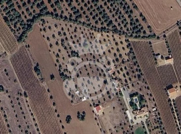 Terreno para Venda em Reguengos de Monsaraz