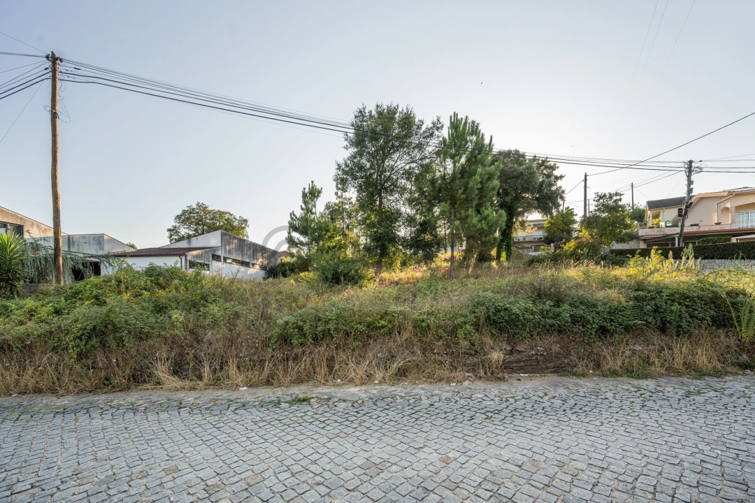 Terreno para Venda em Lama Foto 4