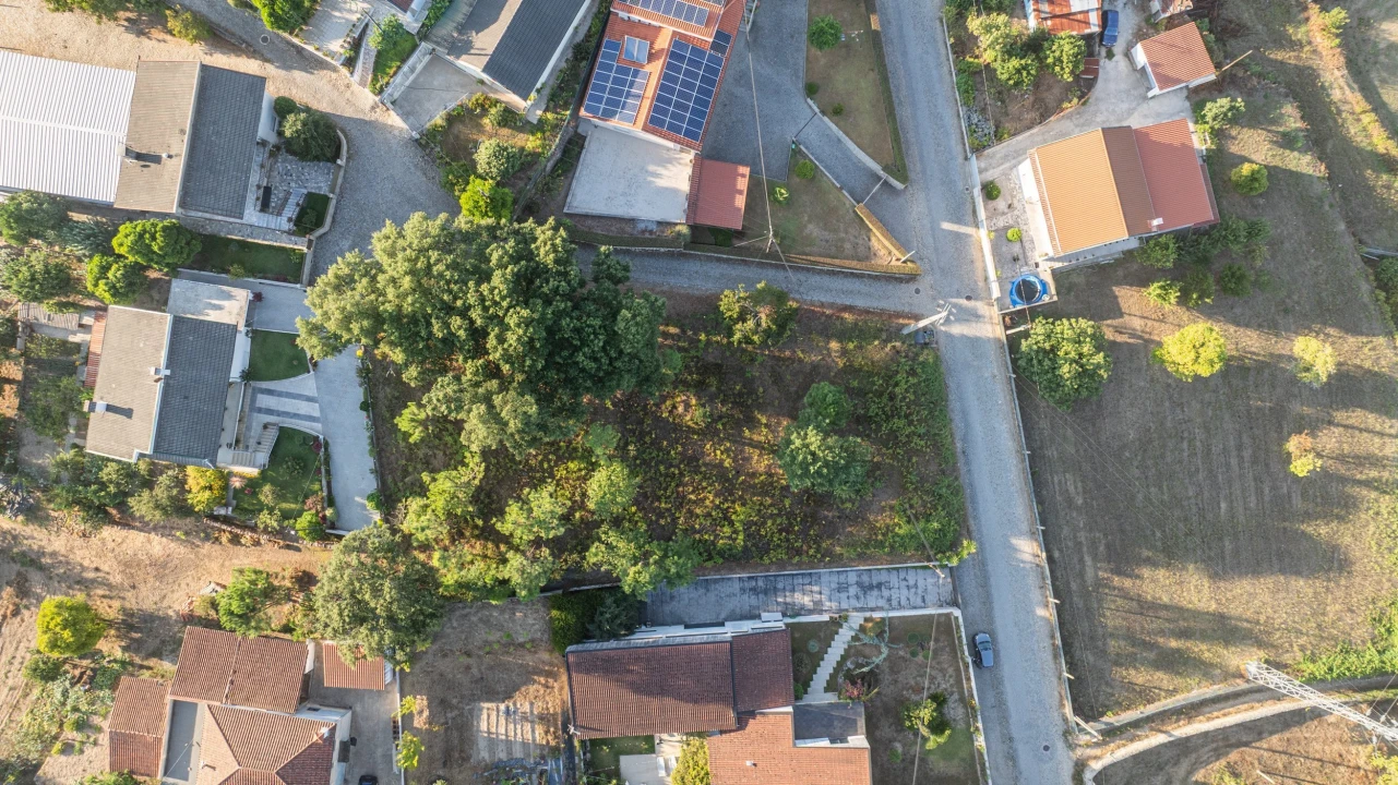 Terreno para Venda em Lama Foto 2