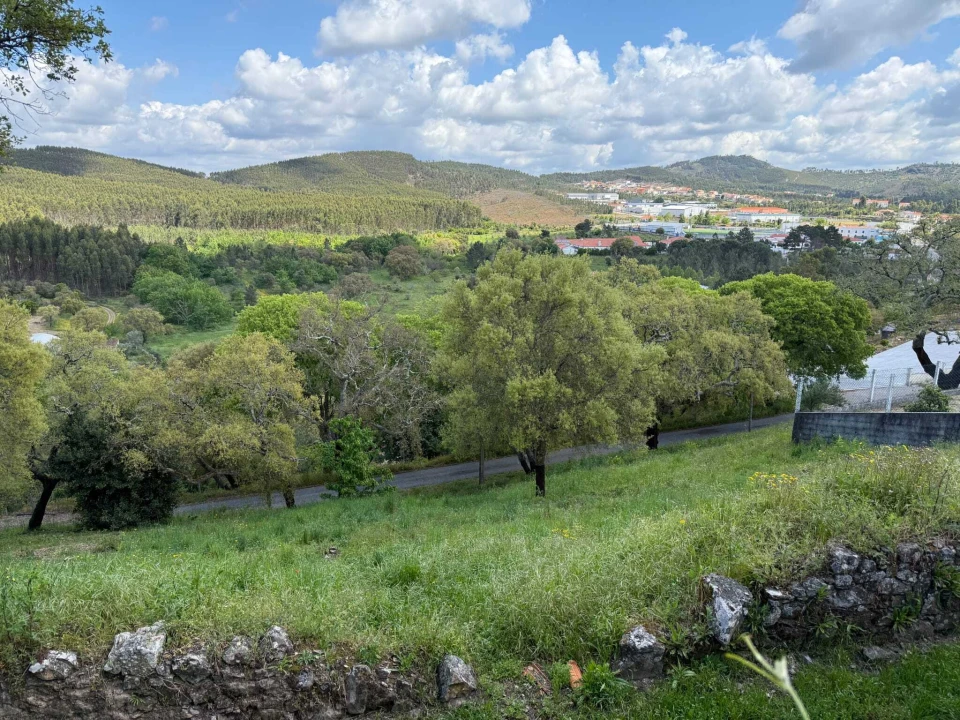 Terreno para Venda em Vila de Rei Foto 4