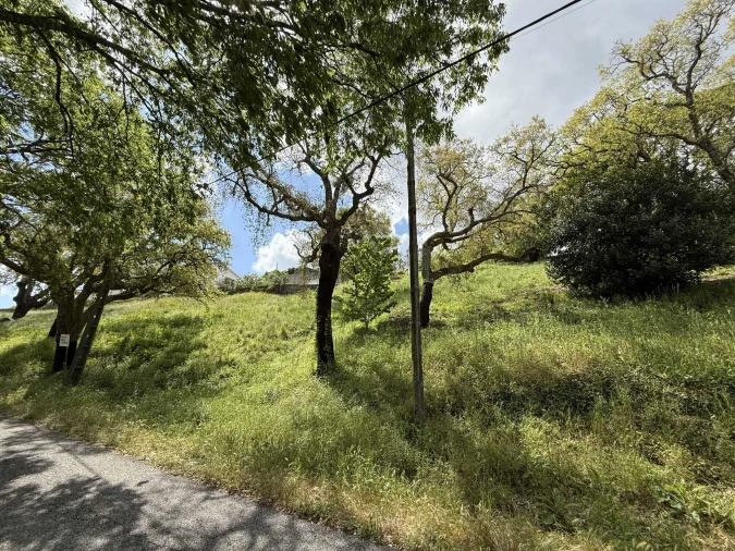 Terreno para Venda em Vila de Rei Foto 6
