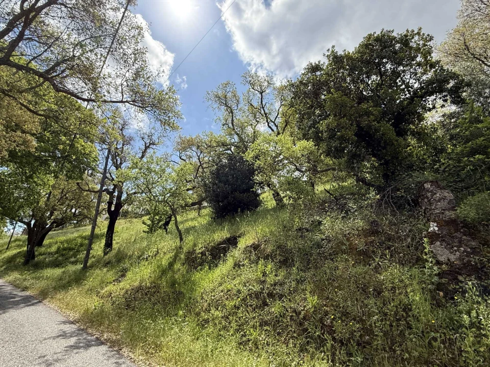 Terreno para Venda em Vila de Rei Foto 5