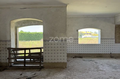 Terreno para Venda em Cortegaça