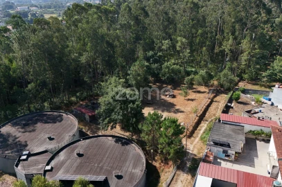 Terreno para Venda em Santo Tirso, Couto (Santa Cristina e São Miguel) e Burgães