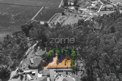 Terreno para Venda em Santo Tirso, Couto (Santa Cristina e São Miguel) e Burgães