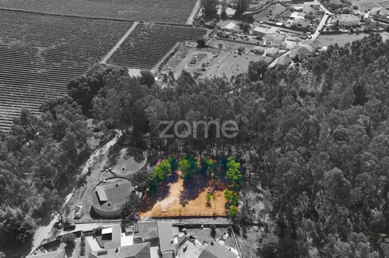 Terreno para Venda em Santo Tirso, Couto (Santa Cristina e São Miguel) e Burgães Foto 9