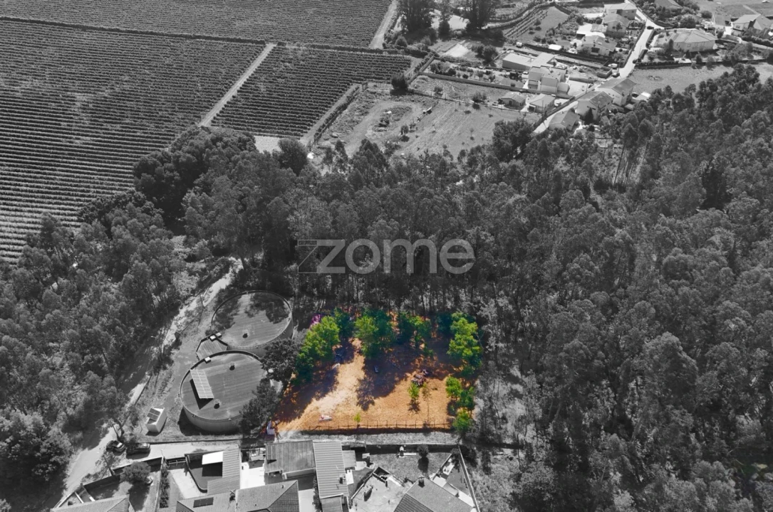 Terreno para Venda em Santo Tirso, Couto (Santa Cristina e São Miguel) e Burgães Foto 9