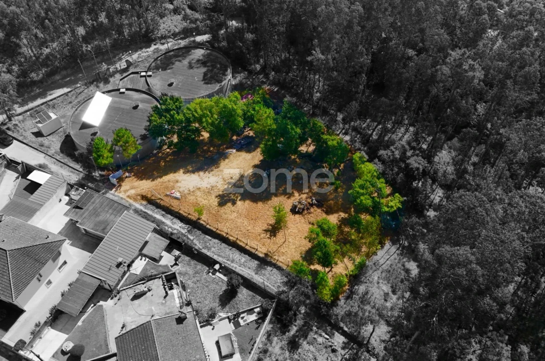 Terreno para Venda em Santo Tirso, Couto (Santa Cristina e São Miguel) e Burgães Foto 1