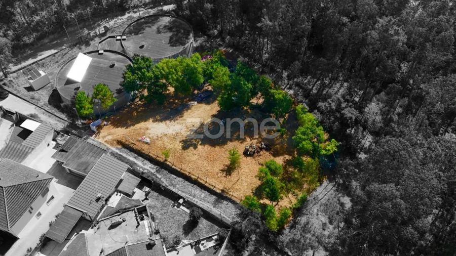 Terreno para Venda em Santo Tirso, Couto (Santa Cristina e São Miguel) e Burgães