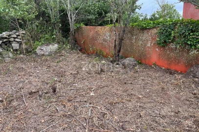 Terreno para Venda em São João das Lampas e Terrugem