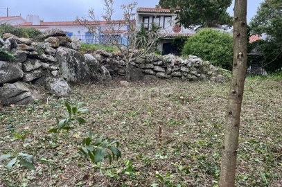 Terreno para Venda em São João das Lampas e Terrugem