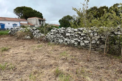 Terreno para Venda em São João das Lampas e Terrugem