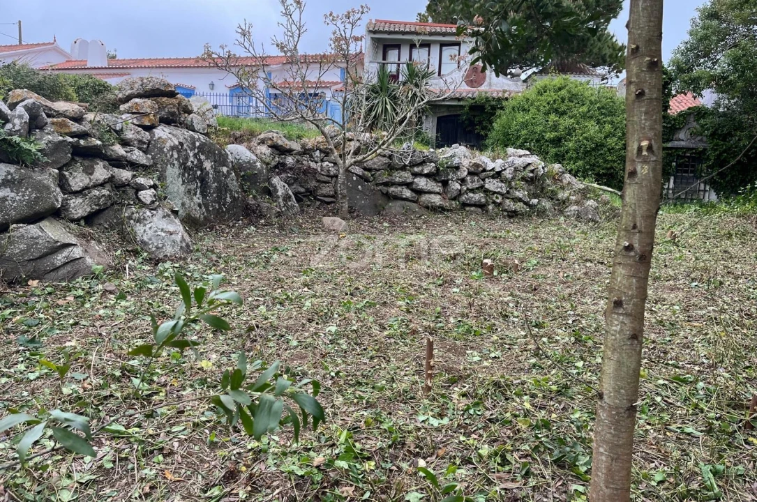 Terreno para Venda em São João das Lampas e Terrugem Foto 2