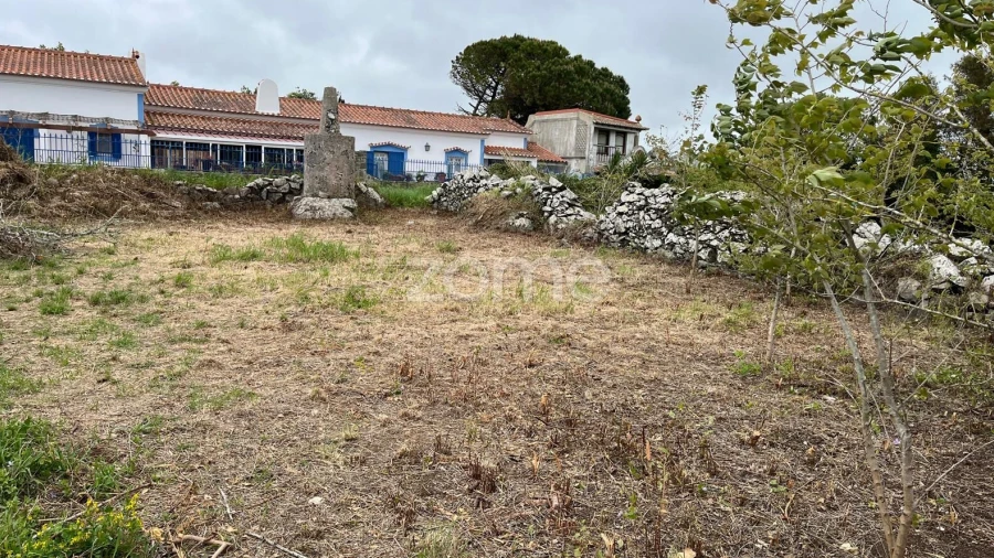 Terreno para Venda em São João das Lampas e Terrugem