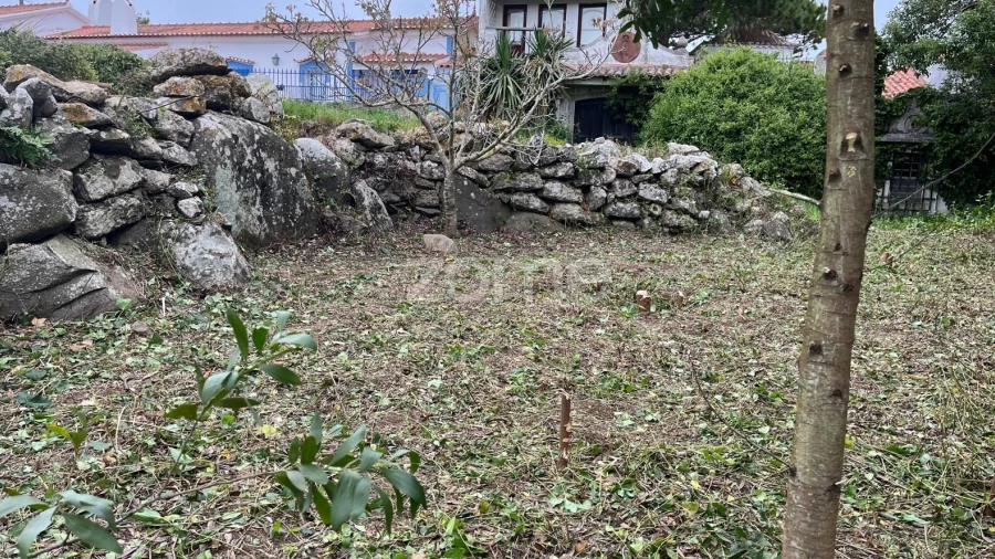 Terreno para Venda em São João das Lampas e Terrugem