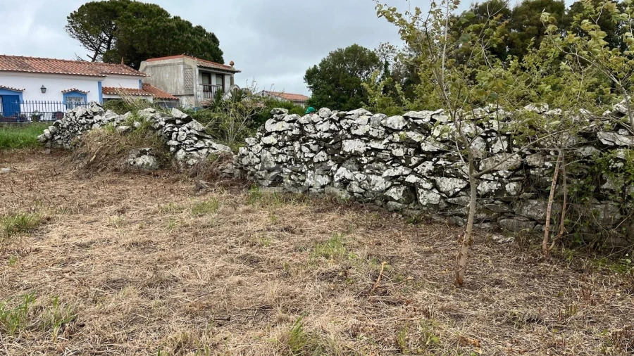Terreno para Venda em São João das Lampas e Terrugem
