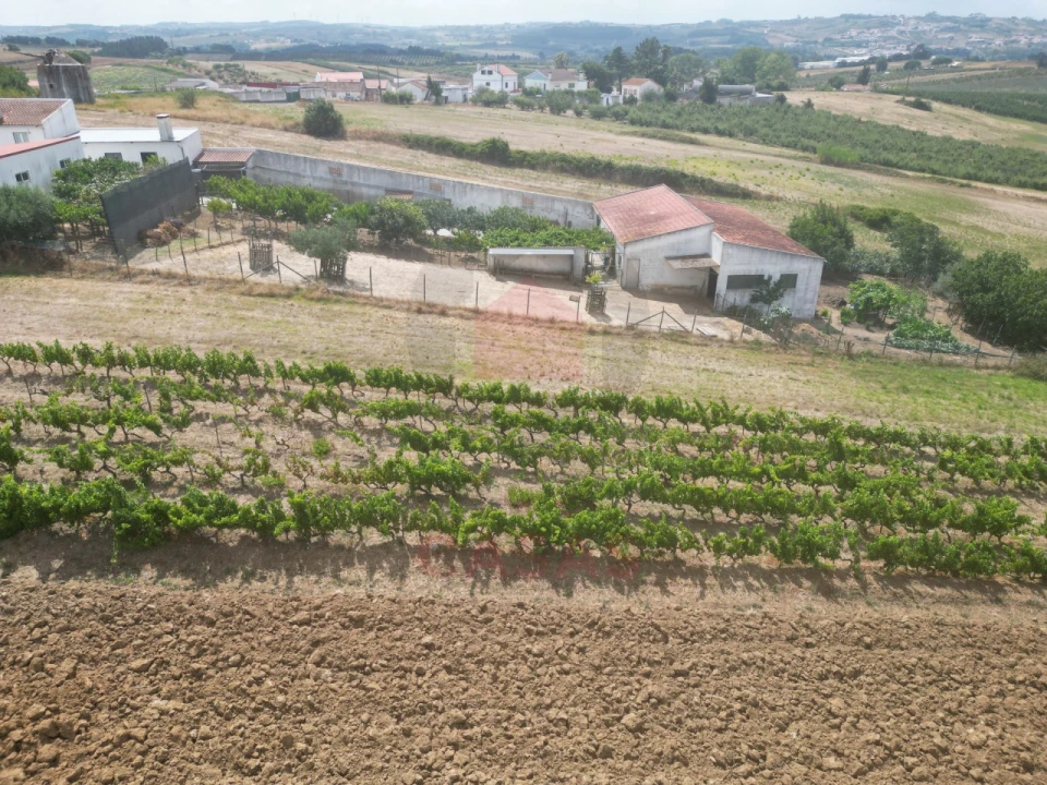 Terreno para Venda em Carvalhal Foto 3
