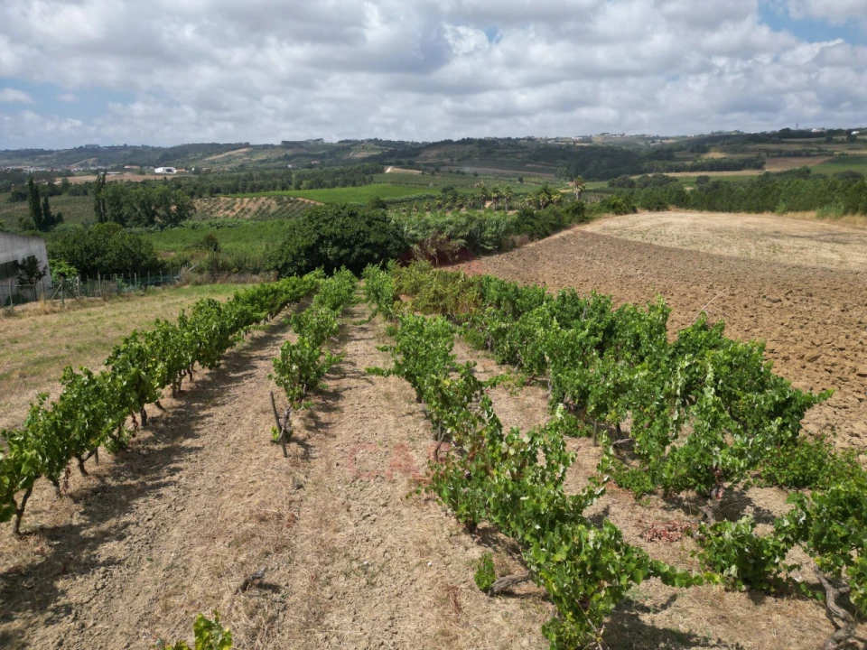 Terreno para Venda em Carvalhal Foto 10
