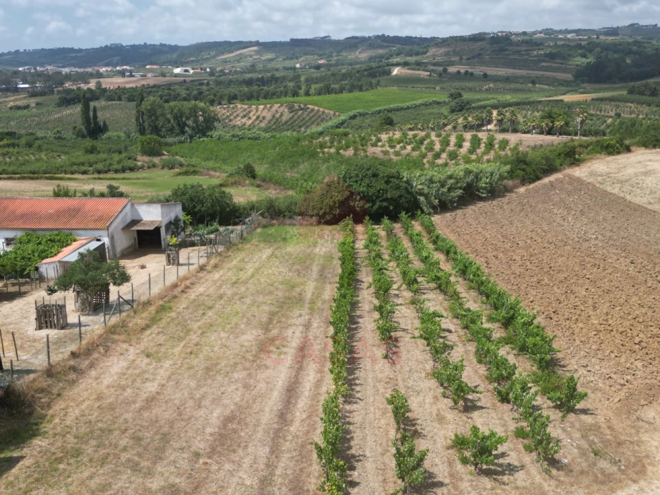 Terreno para Venda em Carvalhal Foto 12
