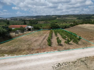 Terreno para Venda em Carvalhal